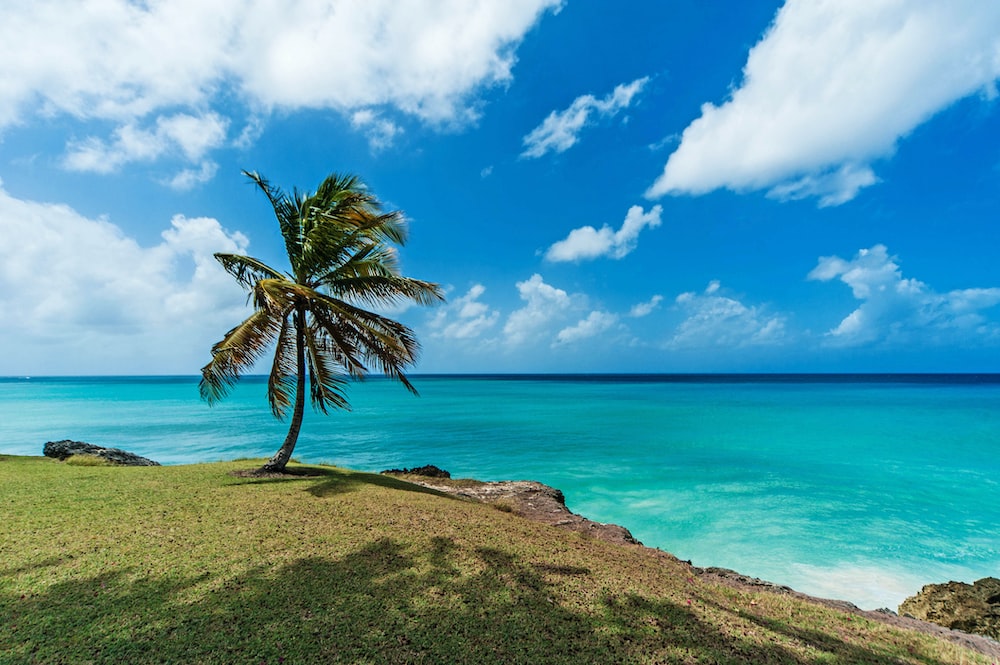 Why Barbados Land is Your Next Best Investment: A Comprehensive Guide